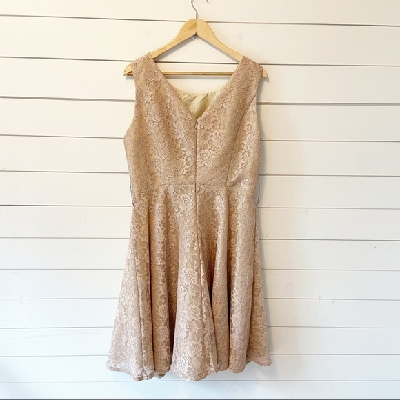 MELROSE | Champagne Lace Knee Length Formal Dress With Neck Embellishments 16 - Picture 2 of 14